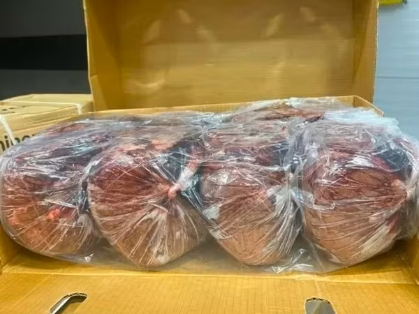 Продажа мясо говядины оптом