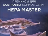 Премиксы для рыбного корма HEPA MASTER — фото 1
