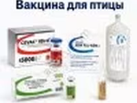 Вакцины для сельскохозяйственной птицы — फ़ोटो 2