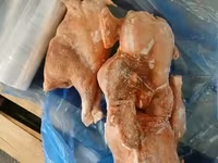 Маточник тушка кур 1 и 2 сорт — photo 1