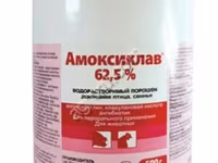 Амоксиклав 62,5% / Амоксициллина тригидрат и клавулановая кислота. — الصورة 1
