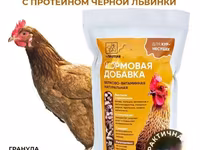 Витамины для кур несушек с Черной львинкой — фото 1