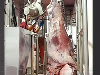 Мясо говядины от производителя оптом РБ — फ़ोटो 2