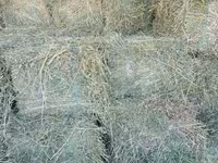 Vind baloți de lucerna 1 cosire-50lei/balot, a2-cosire 60lei balot.Sunt frunzoși și păstrați foarte — фото 2