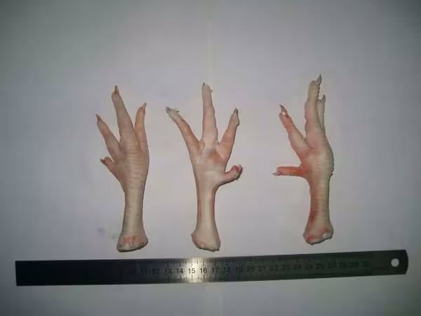 Куриные лапы категории "а".