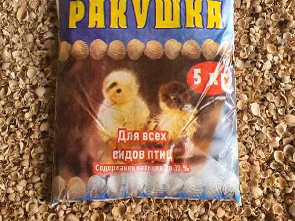 Ракушка морская кормовая