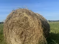 Сено в рулонах — Foto 3