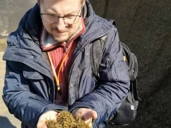Кормовые ингредиенты для комбикормов