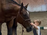 घोड़ी, Quarter Horse — फ़ोटो 4