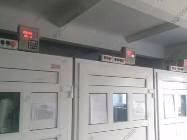 Адлер Сილвер