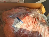 Лопатка из быка, гост, halal доставка — foto 4