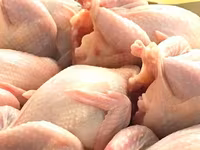 Prepelite: carne, oua, taietei, afumate, marinate, congelate, maioneza, pate, carne inabusita etc.. — الصورة 2