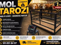Chorva mol tarozi bor sotiladi — Foto 2