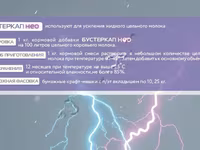 Усилитель цельного молока сухой БУСТЕРКАП НЕО — الصورة 3