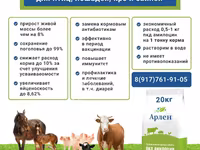 Пробиотическая кормовая добавка Амилоцин — ფოტო 3