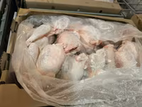 Покупаем тушку кур оптом — الصورة 4