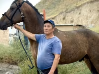 Caballo, French Trotter — foto 4