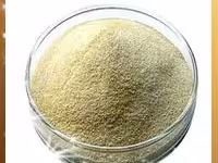 Низин — फ़ोटो 4