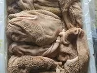 Закупаем на постоянной основе. Субпродукты для кормления домашних животных. — photo 1