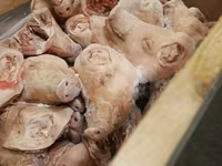 Головы свиные замороженные — 照片 1