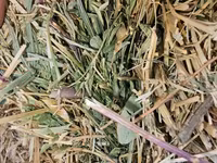 Baloti Sparceta — फ़ोटो 2