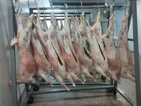 Субпродукты бараньи — ფოტო 3