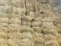 Сено, солома в тюках и рулонах — الصورة 2