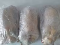 Geese — 照片 1