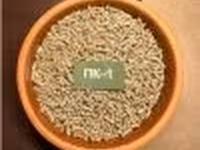 ПК-1 Рост — photo 2