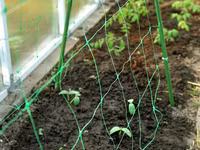 Сетка шпалерная для вьющихся растений.Plasă pentru plante cățărătoare. — фото 2