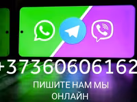 Закупаем субпродукты, рубец, фарш. Говядина, баранина, конина, птица. Для кормления собак. Viber. — ფოტო 2