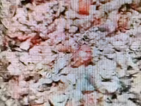 Ассорти из субпродуктов. Корм для собак — foto 2
