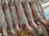 Продам баранину ягнят — الصورة 3