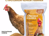 Витамины для кур несушек с Черной львинкой — фото 4