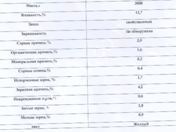Кукуруза