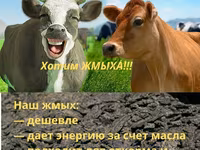 Жмых подсолнечный ракушка — foto 2