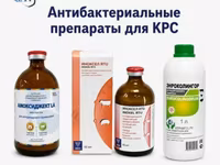 Антибактериальные препараты для КРС — ფოტო 1