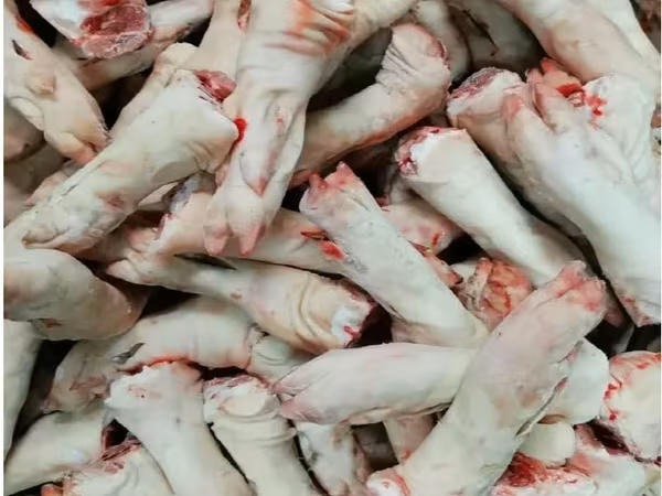 Задние ноги
