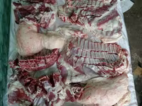 كبش, Rhon sheep — الصورة 2