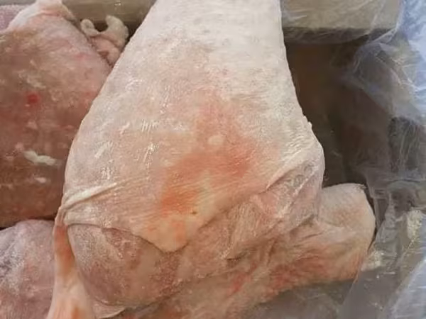 Голень  индейки