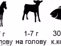 Биорост С — Foto 2