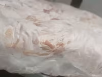 Котлетное мясо свинины (тримминг) — Foto 2