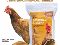 Витамины для кур несушек с Черной львинкой — фото 2