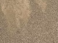 Пивная дробина гранулированная в Кесовой горе — фото 2