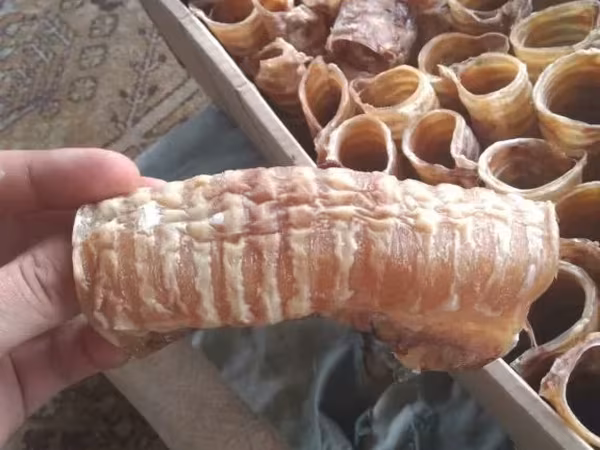Отходы говяжьего и птице-производства