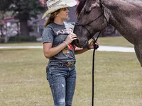 حصان, Quarter Horse — الصورة 5
