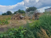 Солома ячменная — foto 5