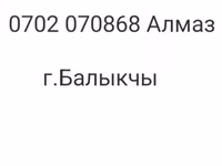 Овца, Тянь-шань полутонкорунная овца — фото 5