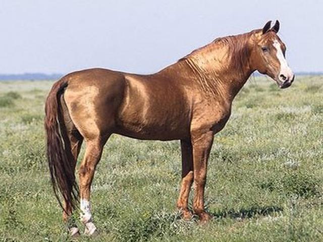 Карабаирская