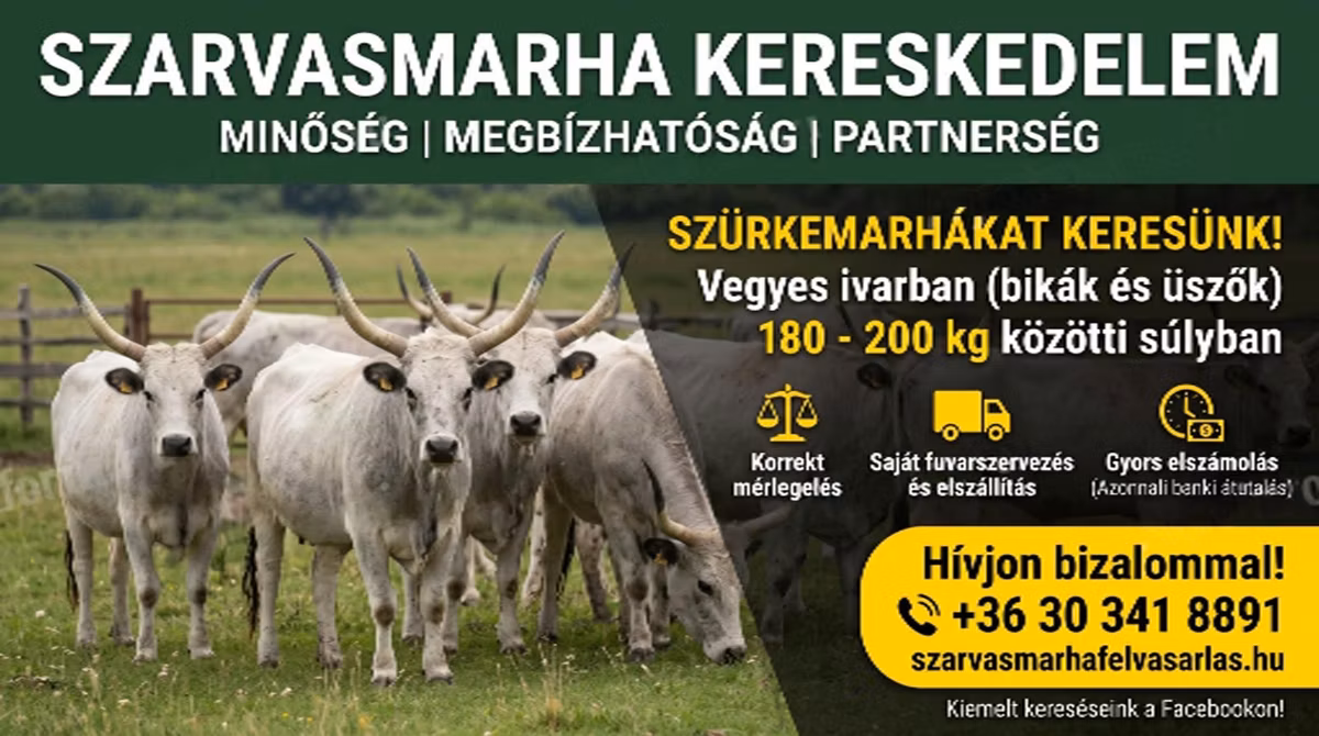 Украиналык сивий короосу